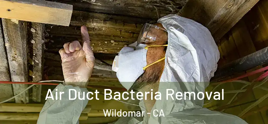  Air Duct Bacteria Removal Wildomar - CA