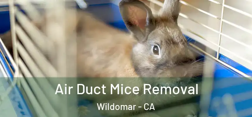  Air Duct Mice Removal Wildomar - CA