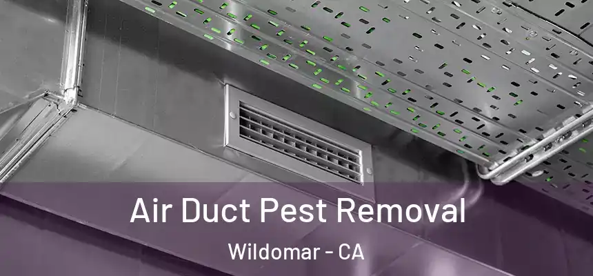 Air Duct Pest Removal Wildomar - CA