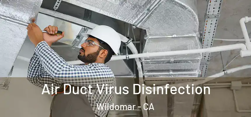  Air Duct Virus Disinfection Wildomar - CA