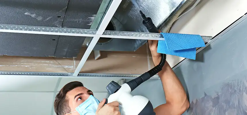 Our Air Duct Rodent Removal Services in Wildomar, CA