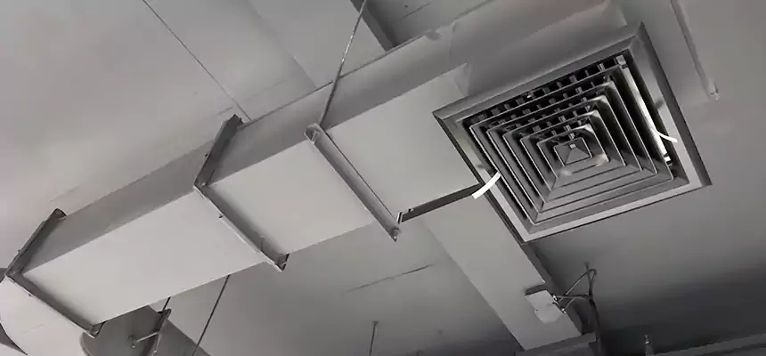 Restorative Allergy Relief Vent Cleaning – Coil, Blower & Housing Detail in Wildomar