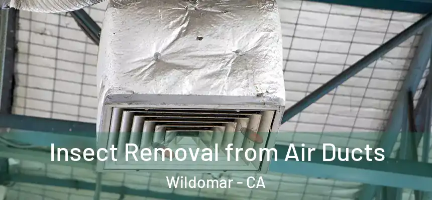  Insect Removal from Air Ducts Wildomar - CA