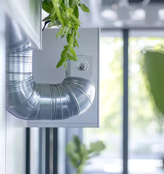 Professional Eco-Friendly Duct Cleaning Services in Wildomar, CA