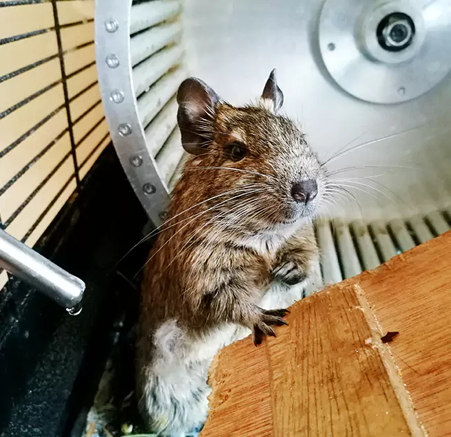 Why Homeowners & Businesses Trust Us Wildomar, CA