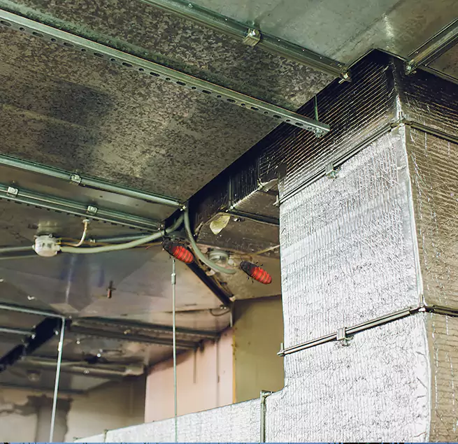 Why Homeowners & Businesses Trust Us Wildomar, CA?